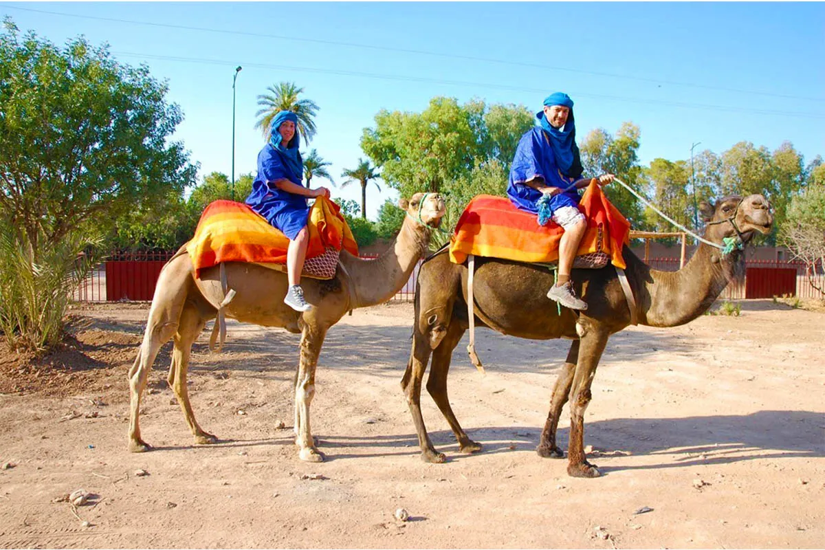 Excursions Dromadaire Marrakech Depuis votre Hotel ou Riad  a Marrakech