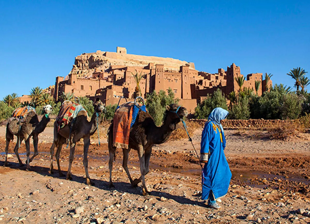 Trek sahara maroc « une semaine dans le désert »